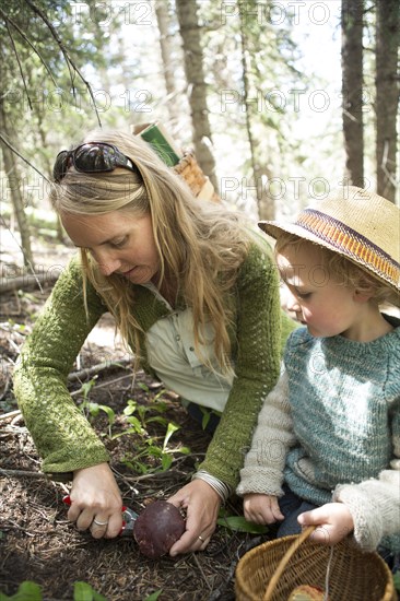 Mother and son foraging for mushrooms in forest