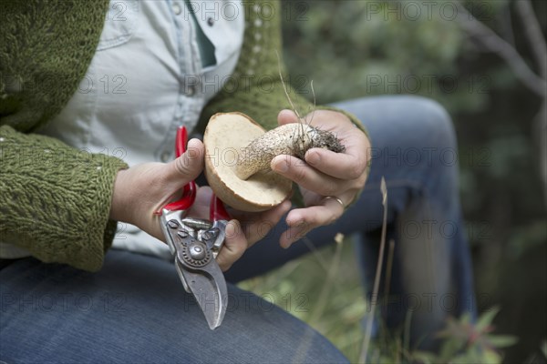 Close up of woman examining mushroom in forest