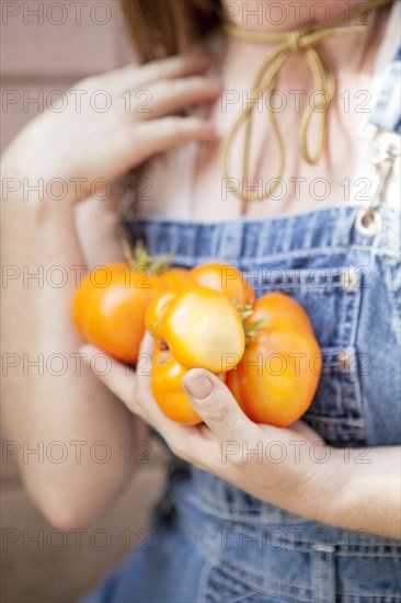 Mixed race farmer carrying fresh tomatoes