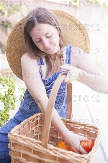 Mixed race farmer gathering tomatoes in garden