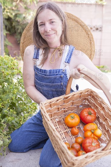 Mixed race farmer gathering tomatoes in garden