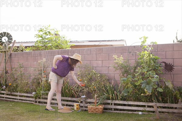 Mixed race gardener working in garden