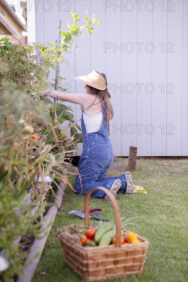 Mixed race farmer gathering vegetables in garden