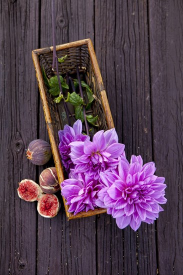 Close up of fresh figs and dahlia flowers