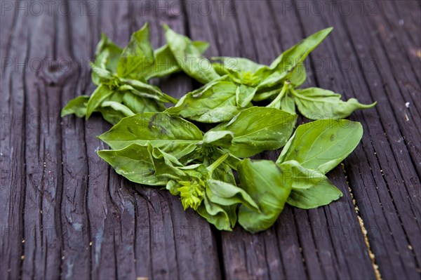 Close up of fresh basil leaves on board