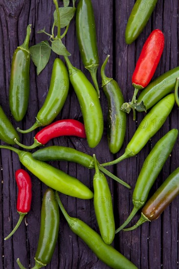 Close up of variety of chili peppers on board