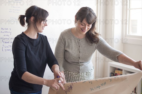 Businesswomen working together in office