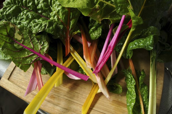 Close up of fresh greens