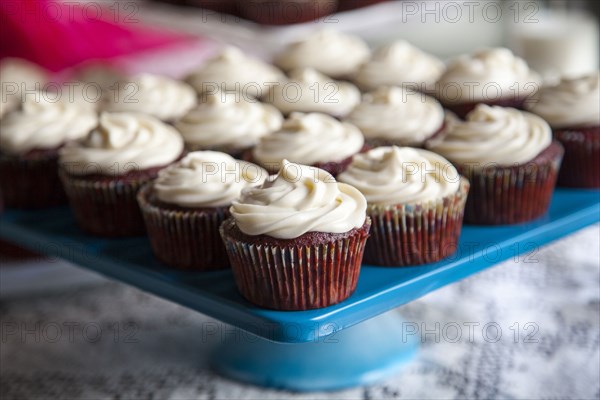 Close up of tray of cupcakes