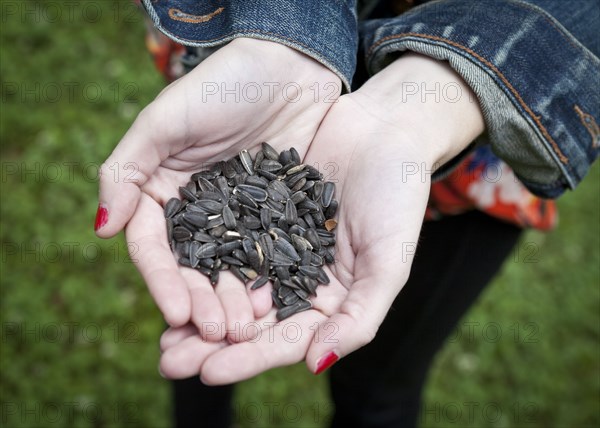 Close up of hands of woman holding seeds