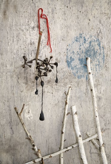 Branches hanging from dilapidated wall