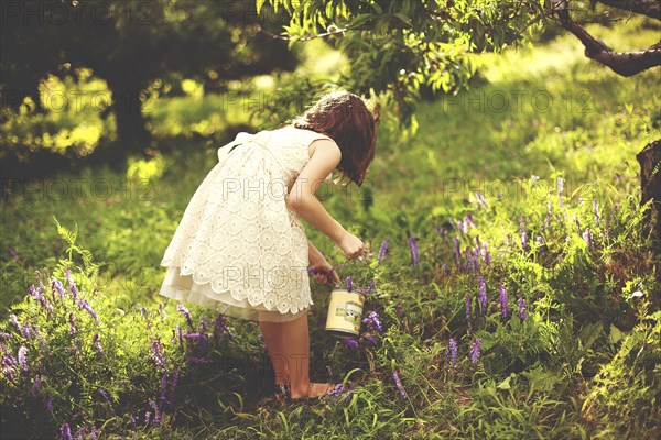 Girl picking flowers in rural field