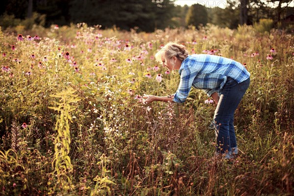 Caucasian gardener examining wildflowers