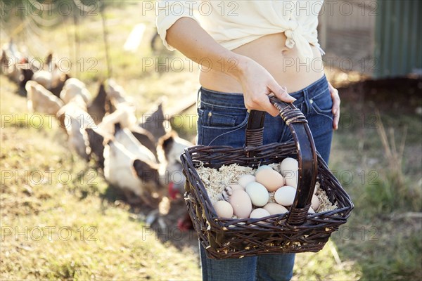 Caucasian farmer gathering chicken eggs on farm