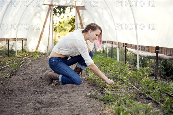 Caucasian farmer weeding plants in greenhouse