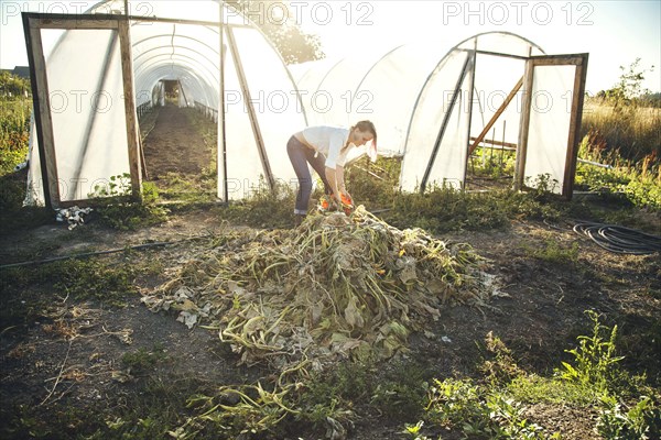 Caucasian farmer weeding plants in greenhouse