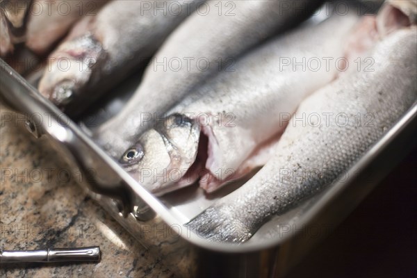 Close up of fresh fish in baking dish