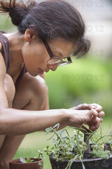 Close up of gardener examining plants