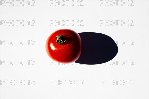 Close up of tomato casting shadow