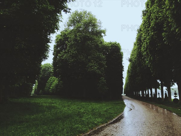 Rainy path in urban park