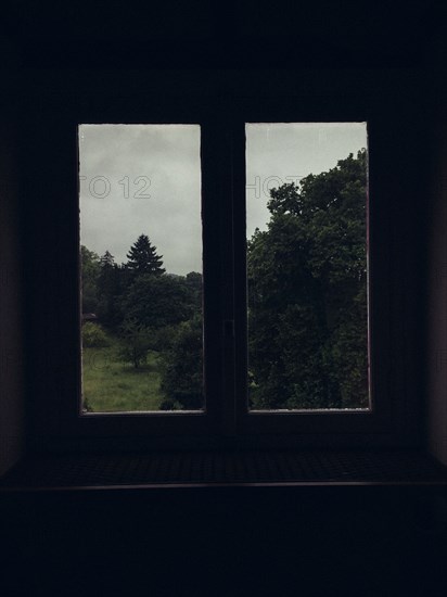 Garden viewed through door windows