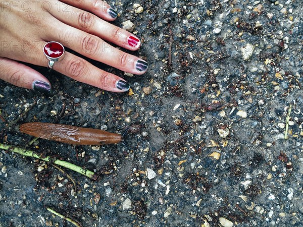 Caucasian woman touching concrete near slug