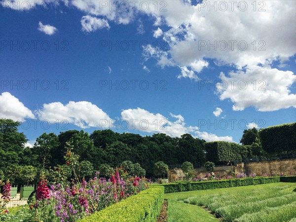Manicured gardens under blue sky