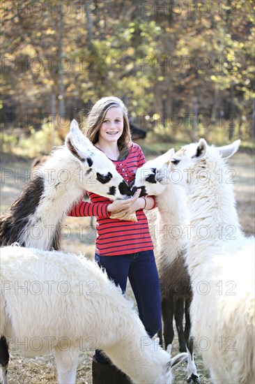 Caucasian girl feeding livestock on farm