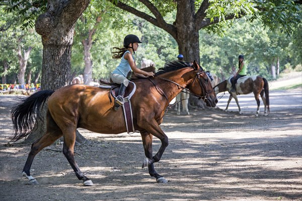 Equestrian girl riding horse on ranch