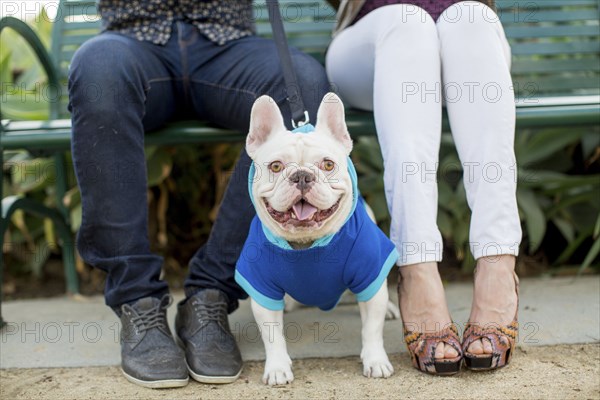 Couple sitting on bench with dog