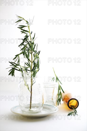 Rosemary sprigs in jars