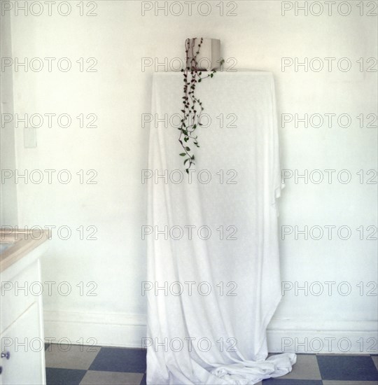 Potted plant and draping curtain on shelf