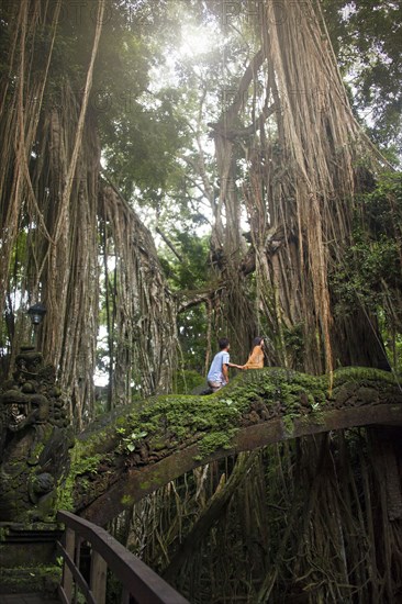 Tourists climbing bridge in jungle