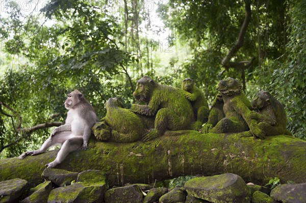 Monkey sitting with mossy statues in jungle