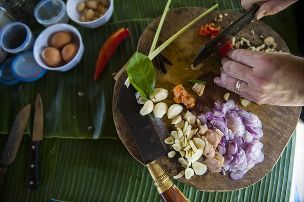 Chef chopping ingredients on cutting board in kitchen