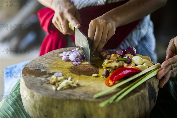 Close up of chefs chopping vegetables on cutting board