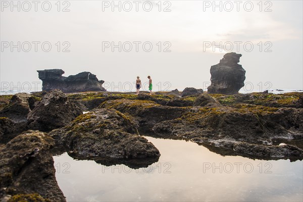 Caucasian children exploring rocky tidal pools