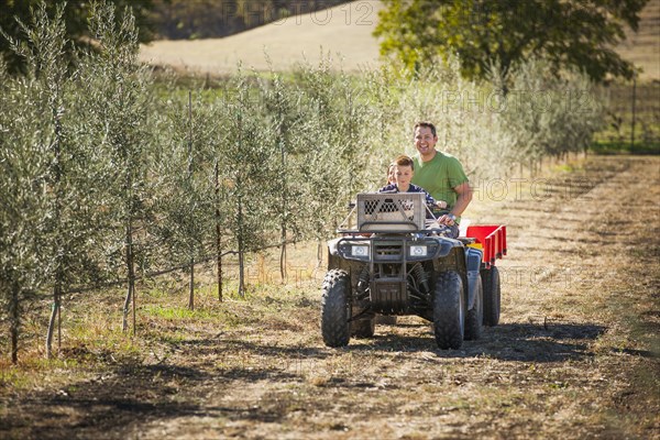 Father driving son on four wheeler in olive grove