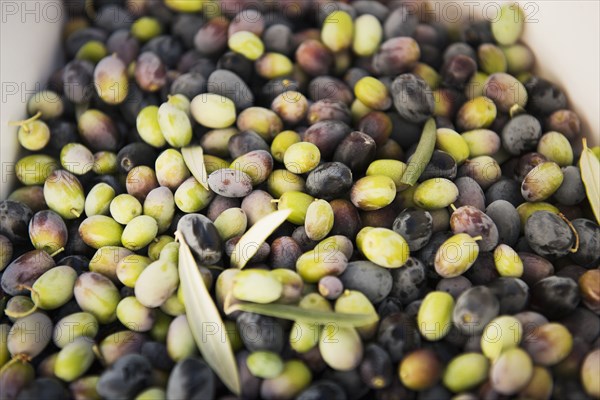 Close up of olives