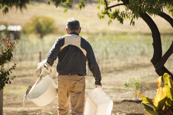 Caucasian farmer carrying buckets in olive grove