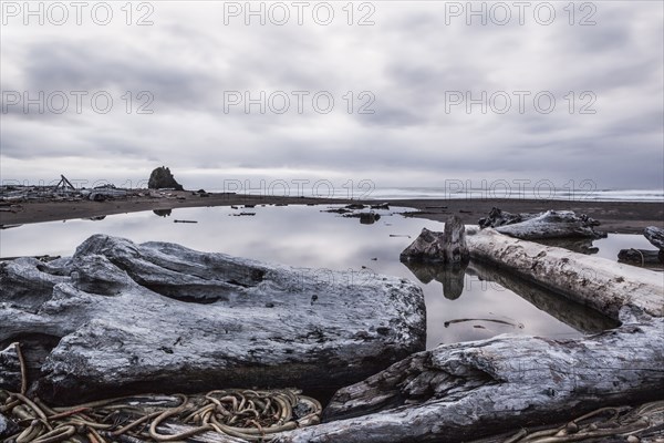 Driftwood and rocks on beach