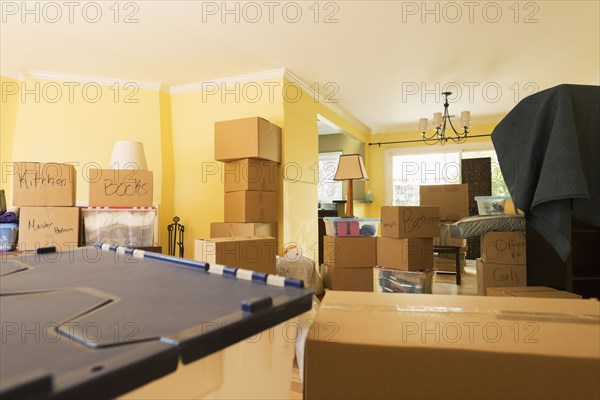 Cardboard boxes in new home