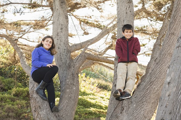 Mixed race siblings smiling in tree