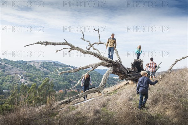 Family playing on tree outdoors