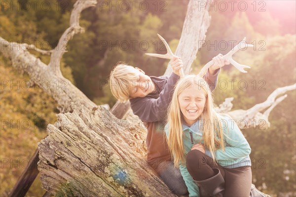 Caucasian brother and sister playing with antlers on tree