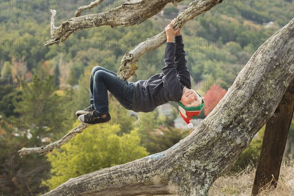 Caucasian boy hanging upside-down on tree branch