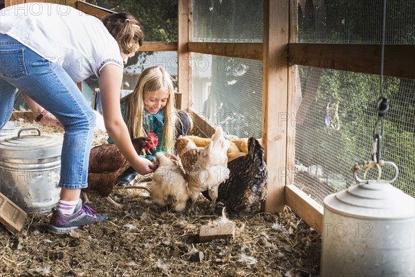 Girls feeding chickens in chicken coop