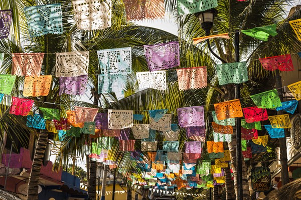 Multicolor flags under palm trees