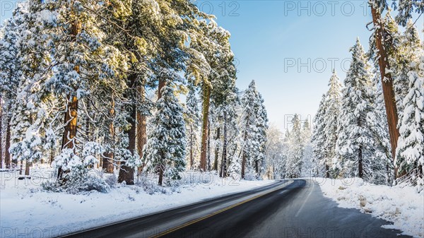 Highway in winter snow