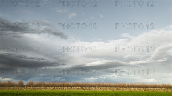 Clouds over field